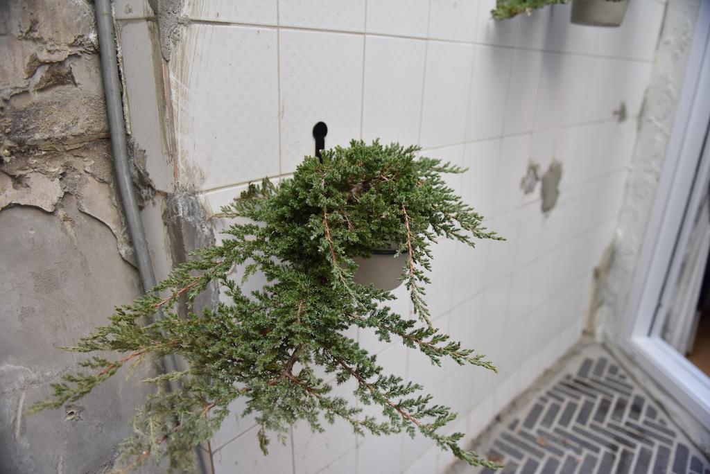Dokebi Cottage Seoul Eksteriør bilde